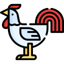 pollo icon