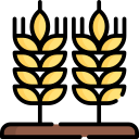 trigo icon