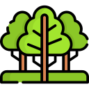 bosque icon