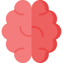 cérebro 