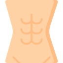 abdominales 