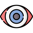 ojo icon