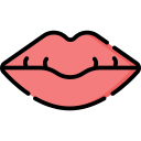 labios icon