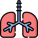 pulmones icon