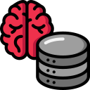 servidor de cerebro icon