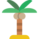 palmera