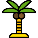 palmera icon