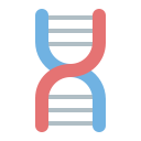 estructura del adn