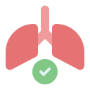 pulmones icon