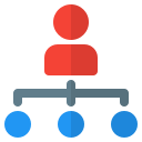 estructura de organización