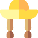 sombrero icon