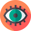 ojos icon