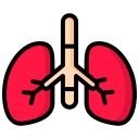 pulmones