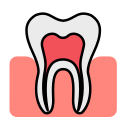 dente 