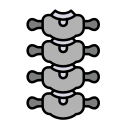 columna vertebral icon