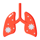 pulmones icon