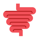 intestino icon