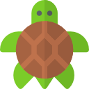 tortuga