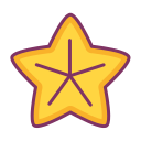 estrella de mar 