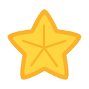 estrella de mar 