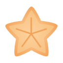 estrella de mar icon