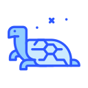 tortuga icon