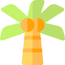 palmera icon