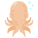 pulpo icon