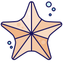 estrelas do mar 