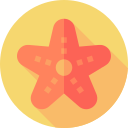 estrella de mar 