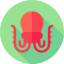 pulpo 