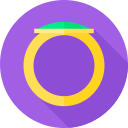 anillo icon