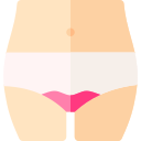 ciclo menstrual icon