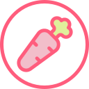 comida vegana icon