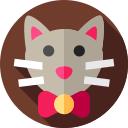 gato icon