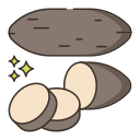 Yucca 