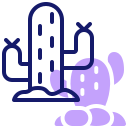 cactus icon