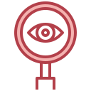 ojo icon