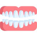 dentadura icon