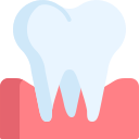 molar icon