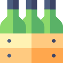 Beer bottle 