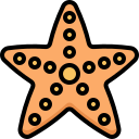 estrella de mar 