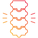 columna vertebral 