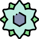 sahasrara 