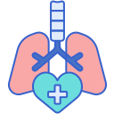 sistema respiratorio icon