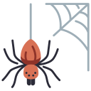 araña icon