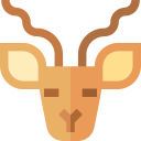 kudu 