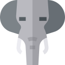 elefante