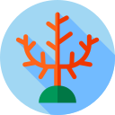 coral icon