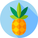 piña icon